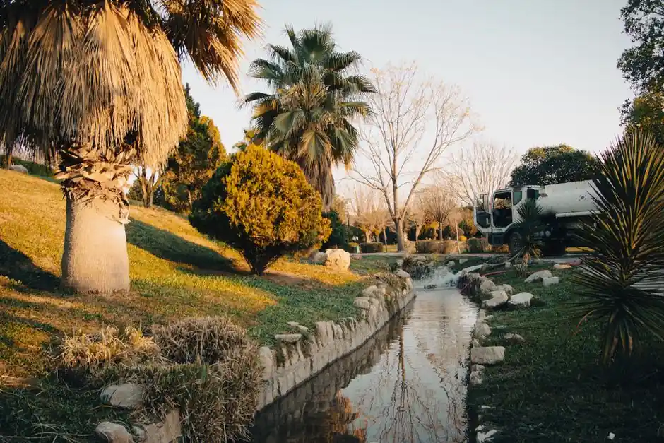 How to Tell If Your Septic Tank Is Full and Needs Pumping